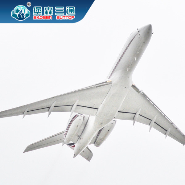 各戸ごとの国際的な空輸貨物の貨物運送業者の発送取扱店サービス